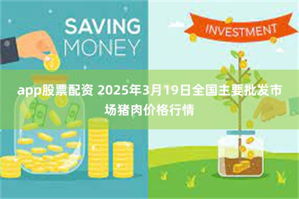 app股票配资 2025年3月19日全国主要批发市场猪肉价格行情