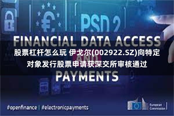 股票杠杆怎么玩 伊戈尔(002922.SZ)向特定对象发行股