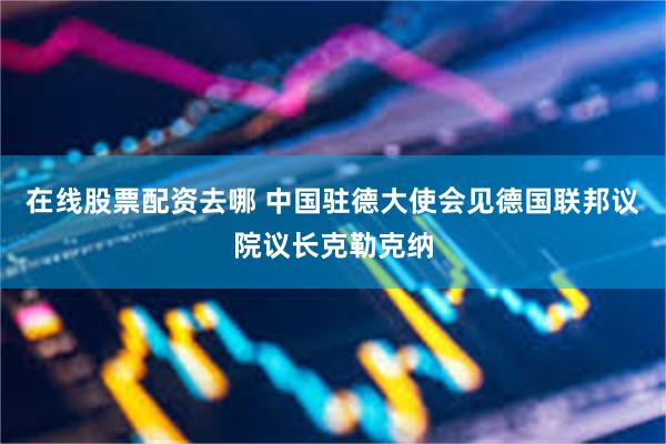 在线股票配资去哪 中国驻德大使会见德国联邦议院议长克勒克纳