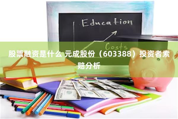 股票融资是什么 元成股份（603388）投资者索赔分析